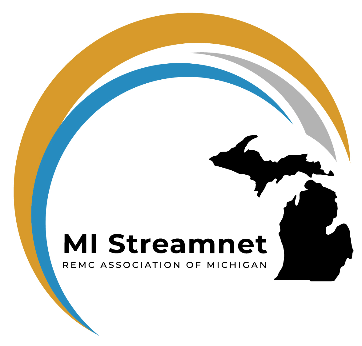 REMC MI Streamnet  Logo